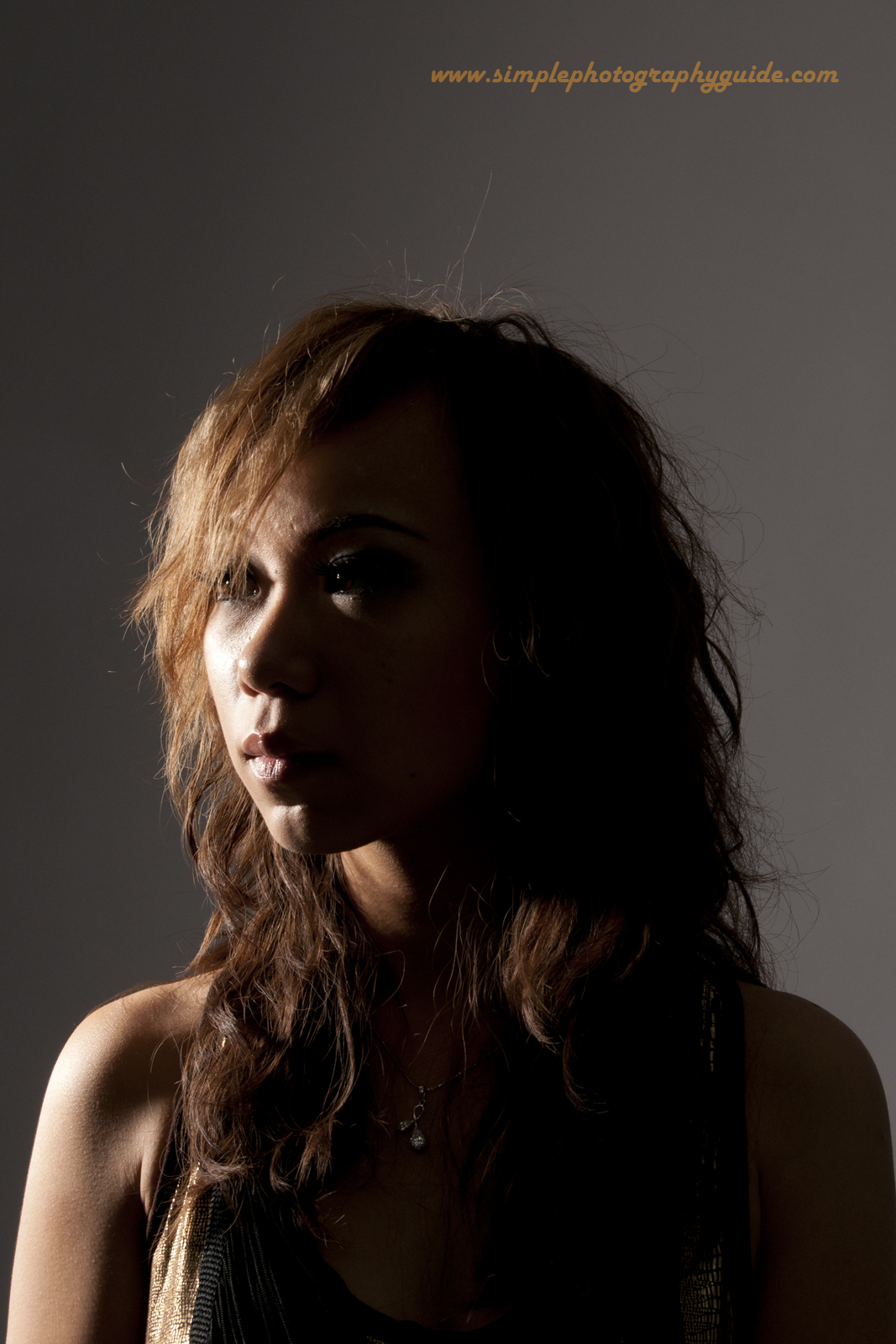 Simple Photography Guide Basic portraiture setup, broad and short lighting