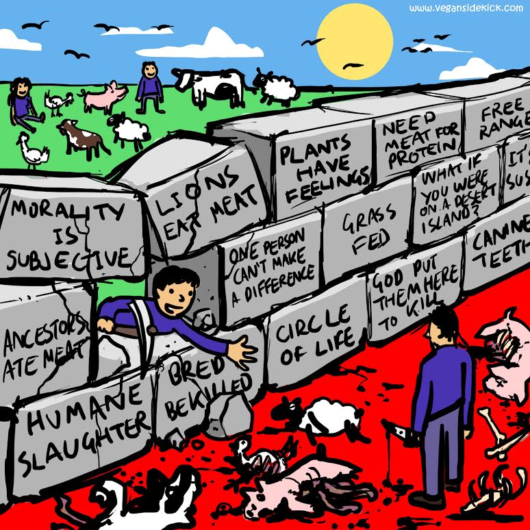 Dog Foods Not Made In A Factory Dog Foods Not Made In A Factory