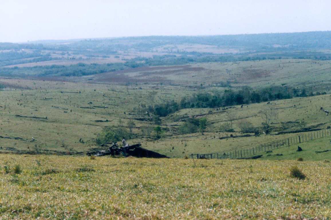 Parques Nacionales del Paraguay Reserva de Biosfera del Bosque