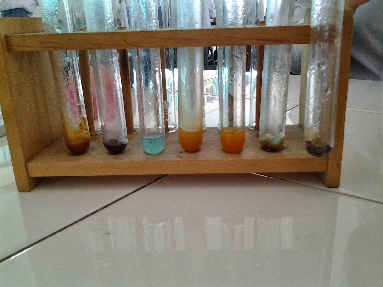 dwitianp Laporan Pengamatan Uji Makanan dwitianp Laporan Pengamatan Uji Makanan