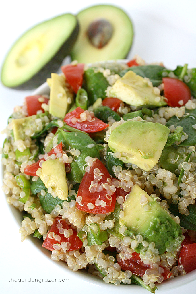 Quinoa Avocado Spinach Power Salad – Dan330