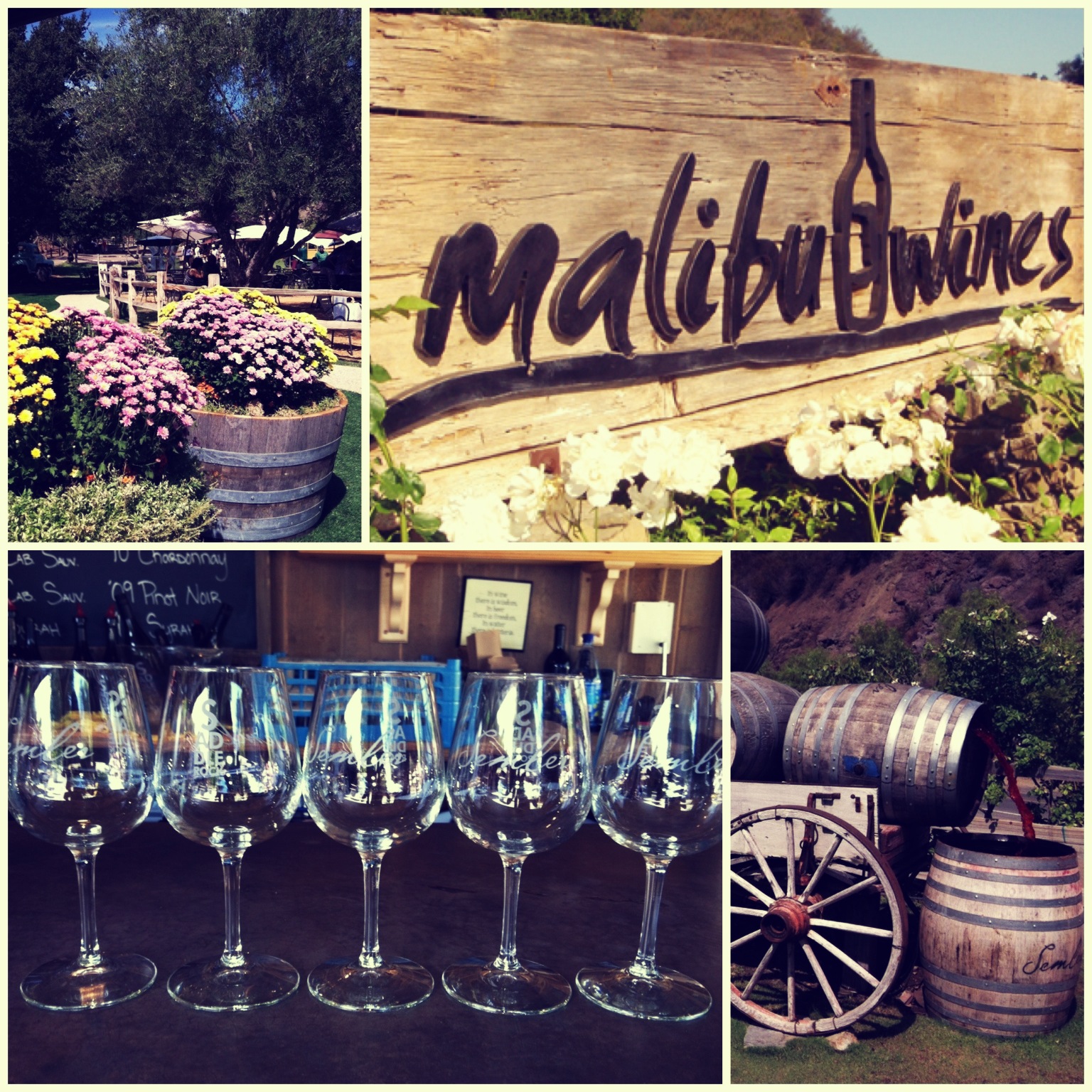 List 105+ Pictures Malibu Wines And Beer Garden Photos Latest