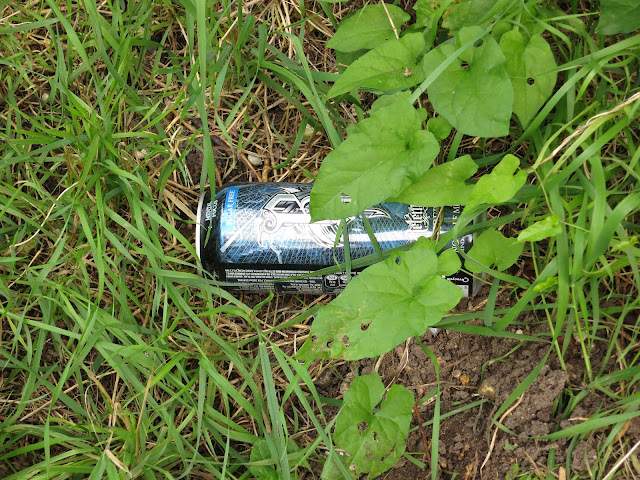 Shiny energy drink can thrown away in the grass