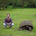 Ecuador, Galapagos Giant Tortoises