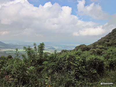Vista parcial del Valle de Ameca desde el Cerro Huicicil
