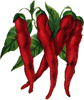 red chili peppers altered art image from vintage seedpack by Lunagirl
