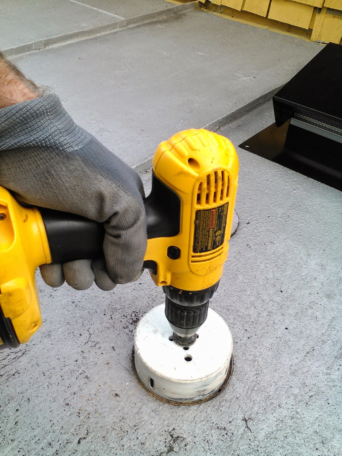 the common milkweed How To Drill A Hole In A Roof