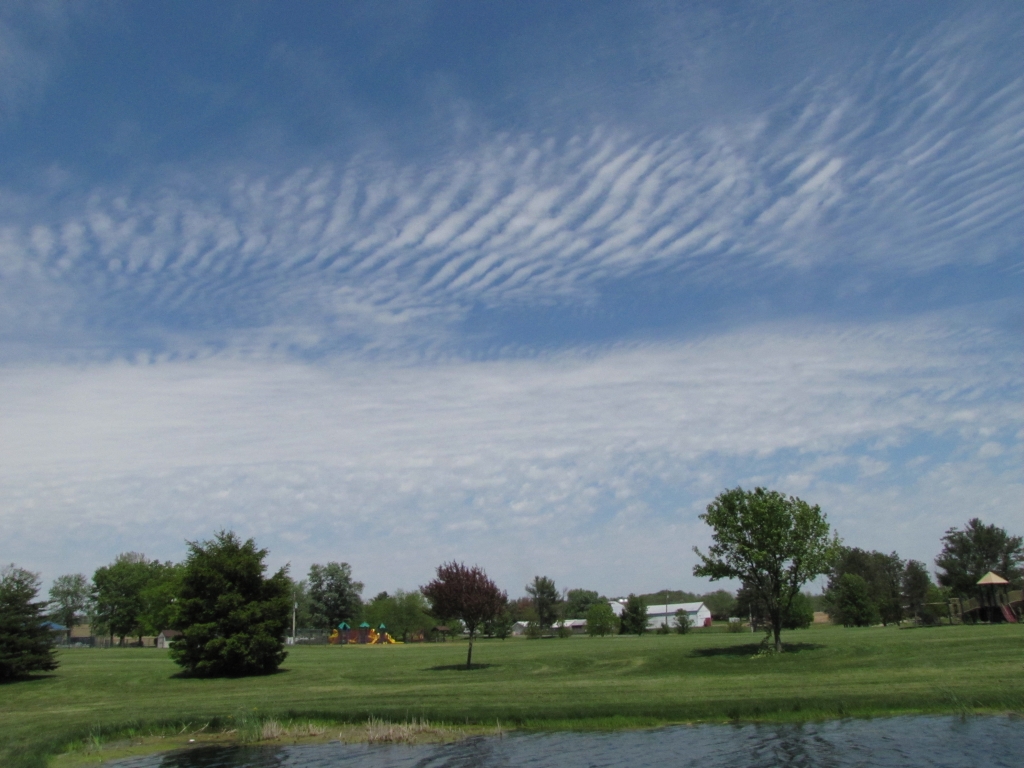 Pinehaven Farmersville, Ohio The Pond