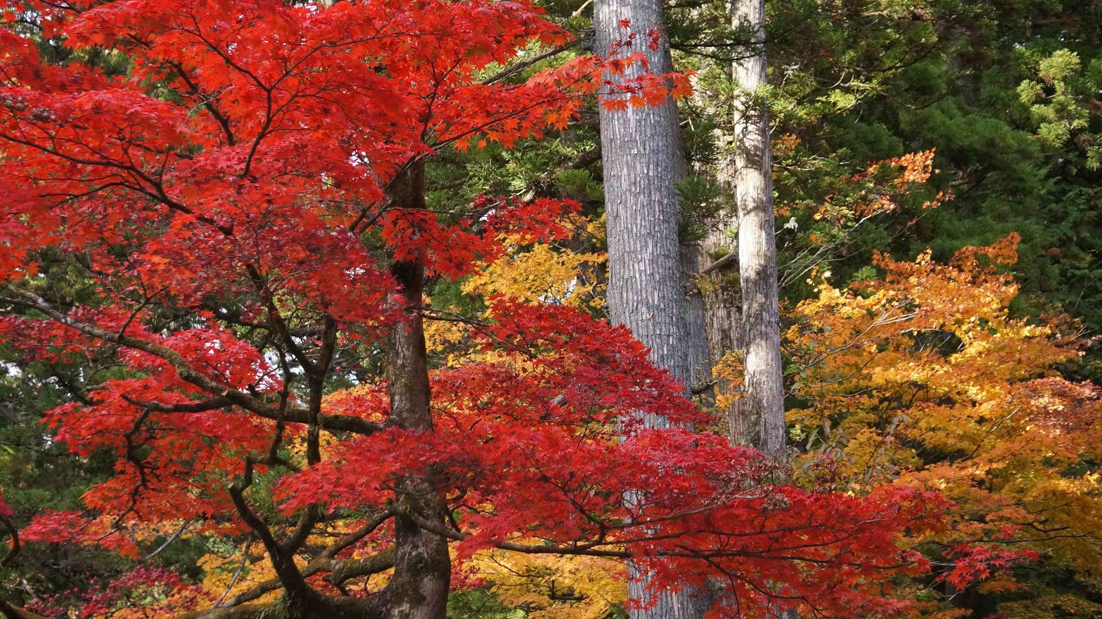 うぃむんののんびりギャザクラ日誌 Ff14 彫金師のジョブクエlv53 雅なたくらみ Ff14