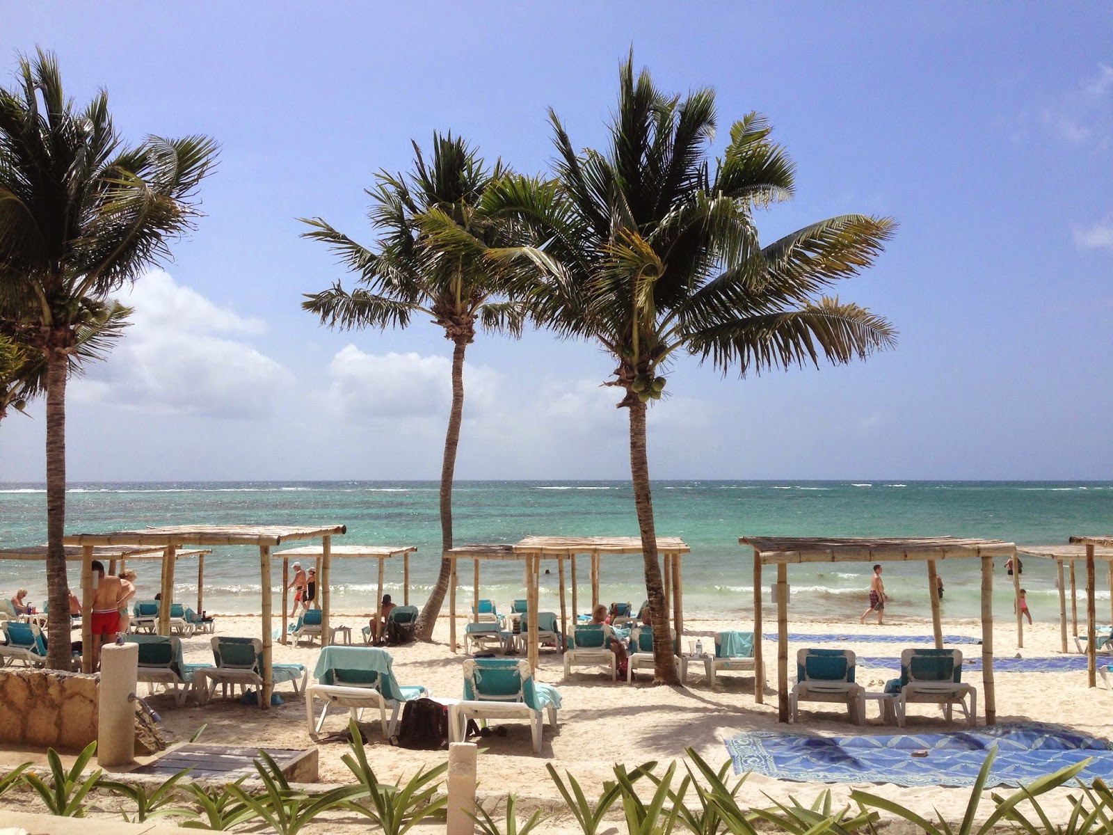 Clockwatching Tart Trip Report Akumal Bay Beach & Wellness Resort