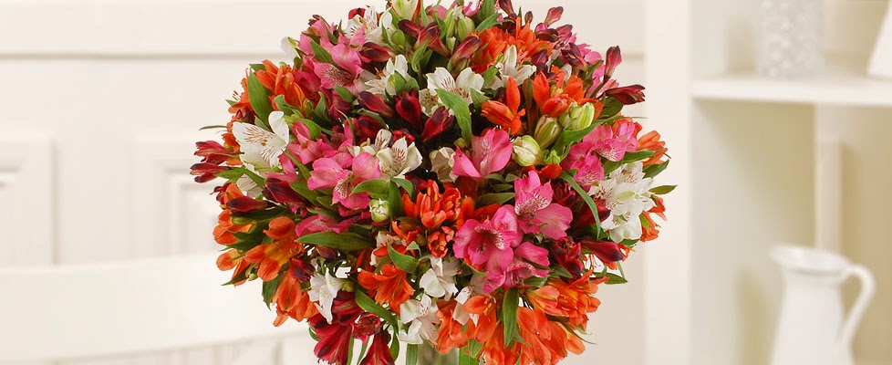 Online flowers British Alstroemeria