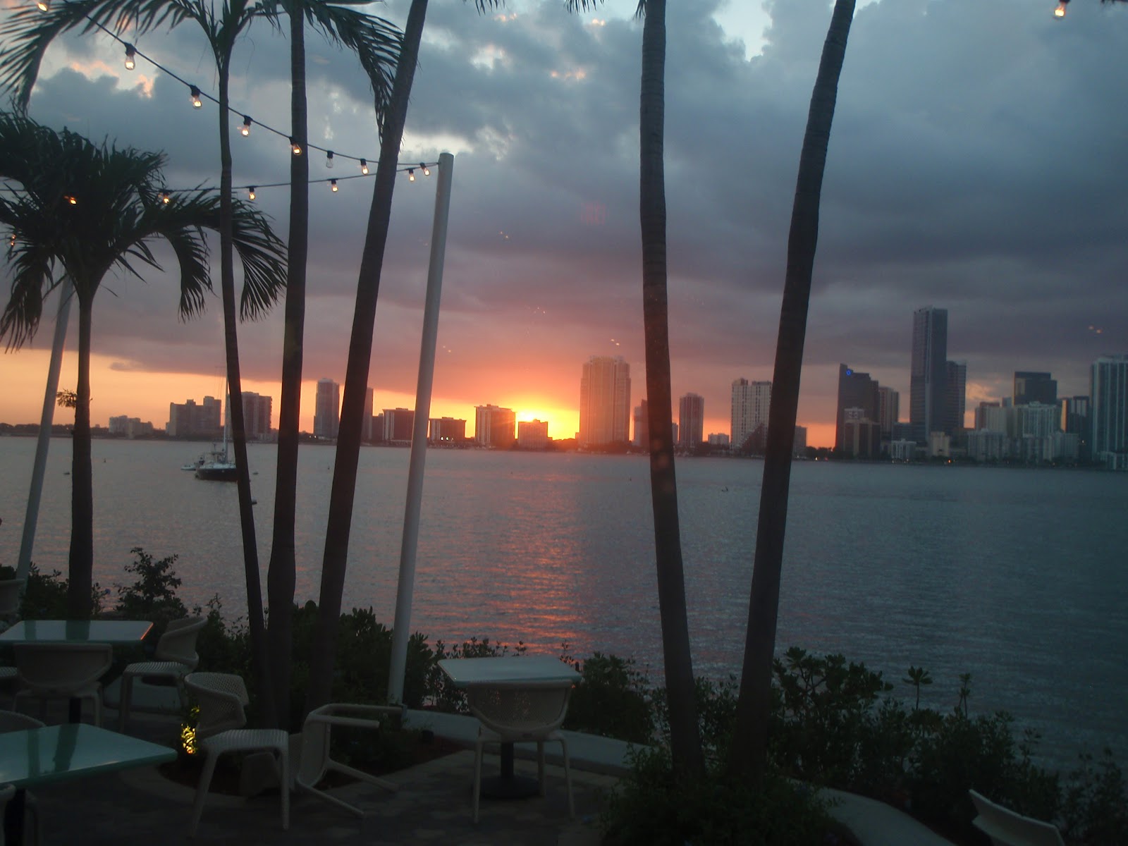 [Image: P5104630.JPG]