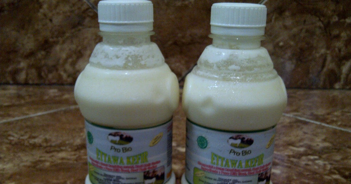 magic of kefir kambing etawa jual bibit kefir di magic of kefir kambing etawa jual bibit kefir di