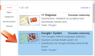  Google+ Followers Gadget görüntümüz