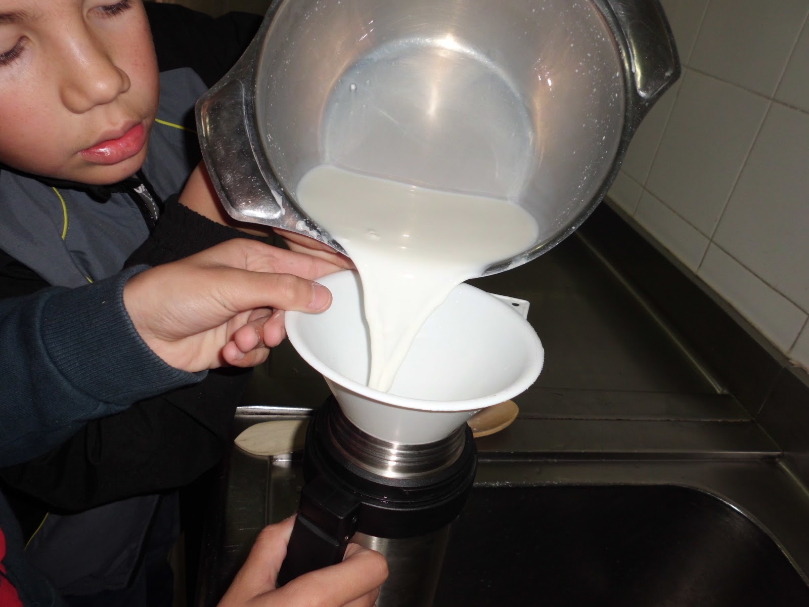 SCIENCE IN THE SCHOOL REPORT MAKING YOGHURT