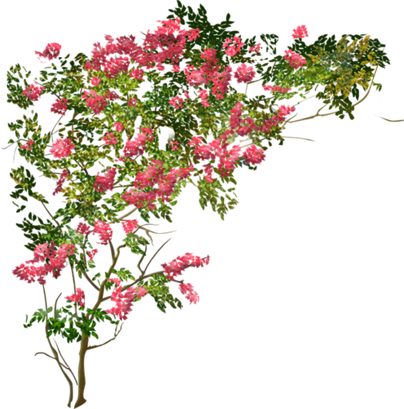 Resultado de imagen para tubes de flores