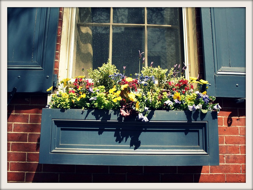 Meet Me in Philadelphia Snapshots of Society Hill, Part I