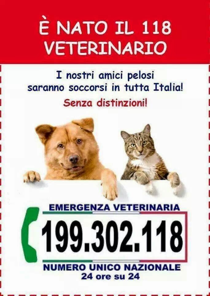 E' nato il 118 Veterinario