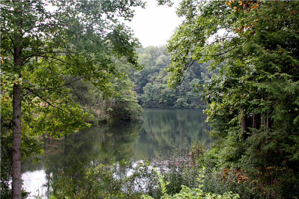 Wayfarin' Stranger Breaks Interstate Park