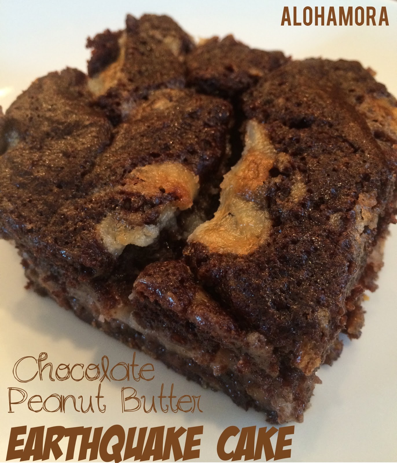 Alohamora Open a Book Earthquake Cake w/ Endless Combinations