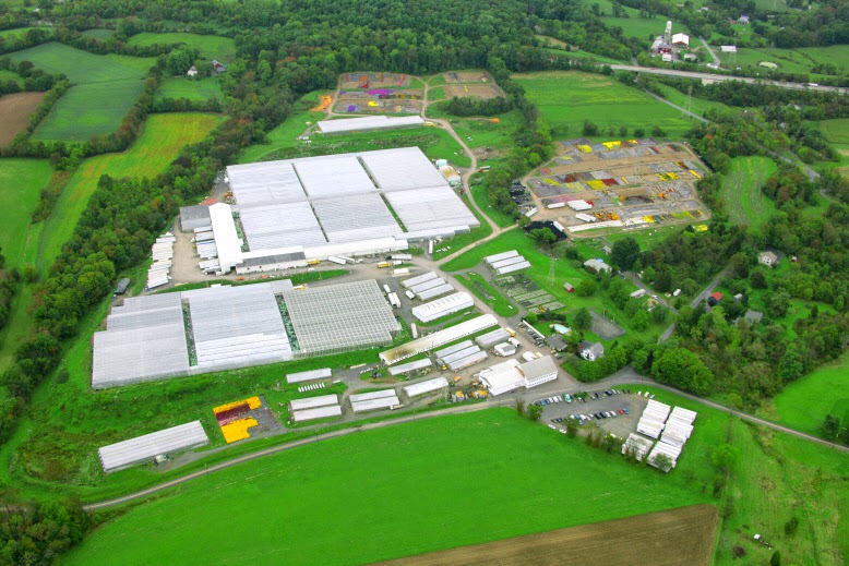 Dan Schantz Greenhouse and Cut Flower Outlet Dan Schantz Tour