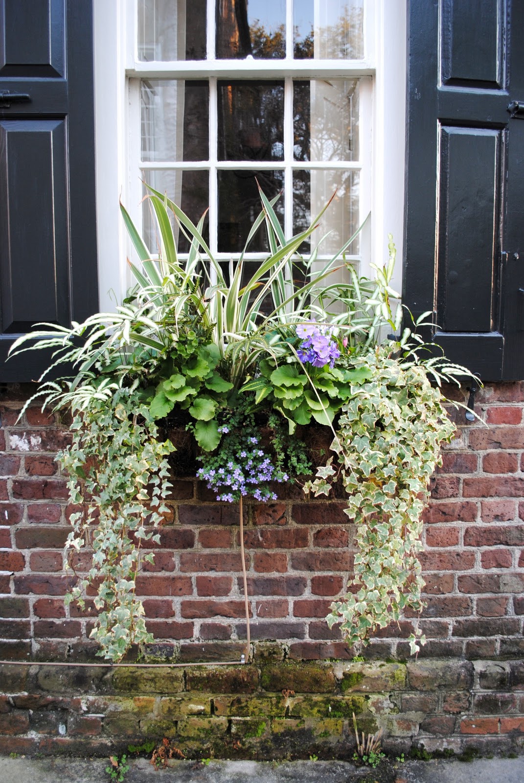 g and m Charleston Window Boxes