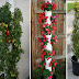 DIY Vertical Planter