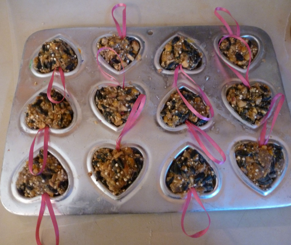 The Enchanted Tree Show the birds some love....Bird Seed Hearts )