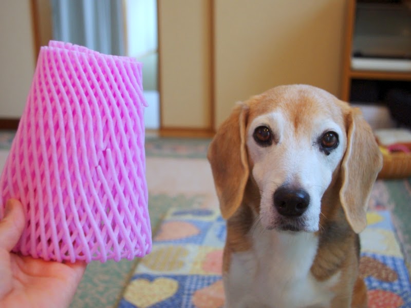 ぴよぴよビッキー ワンダフルみゃー フルーツキャップ