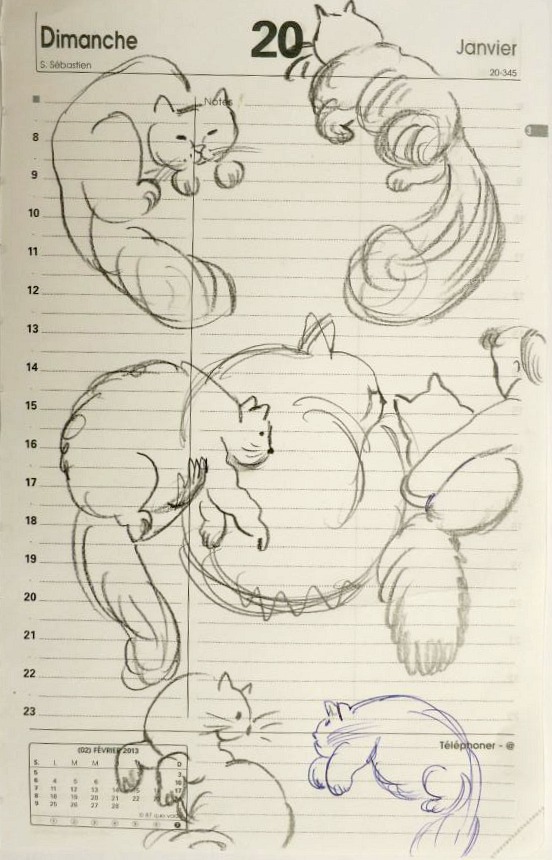 chat nogent sur marne