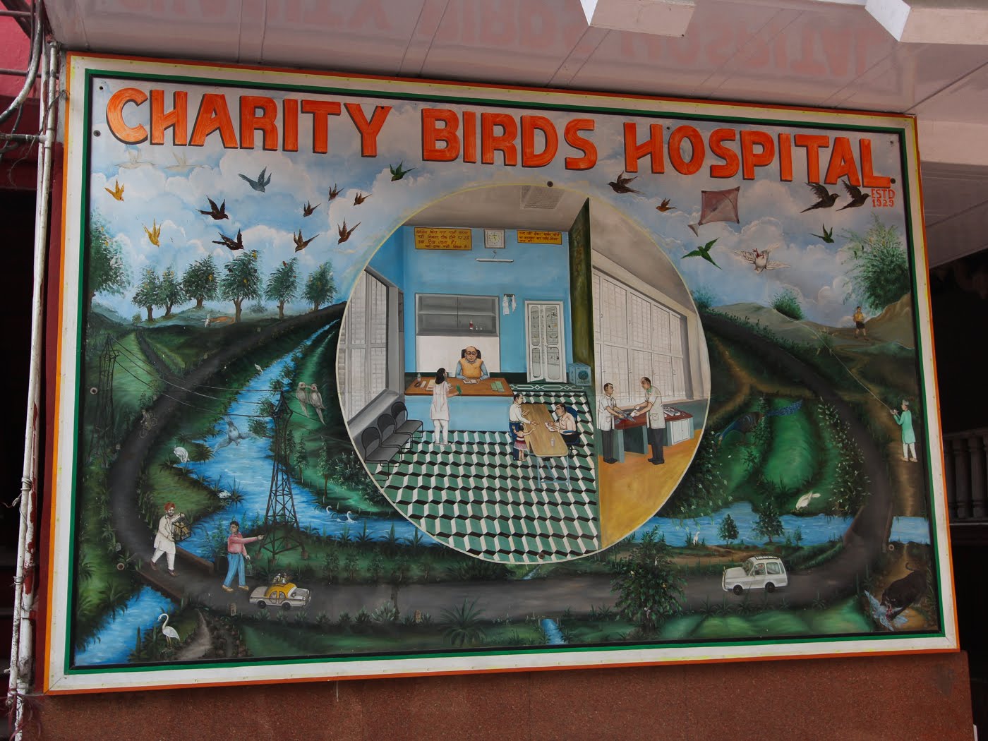 Hello Talalay Charity Birds Hospital, Delhi