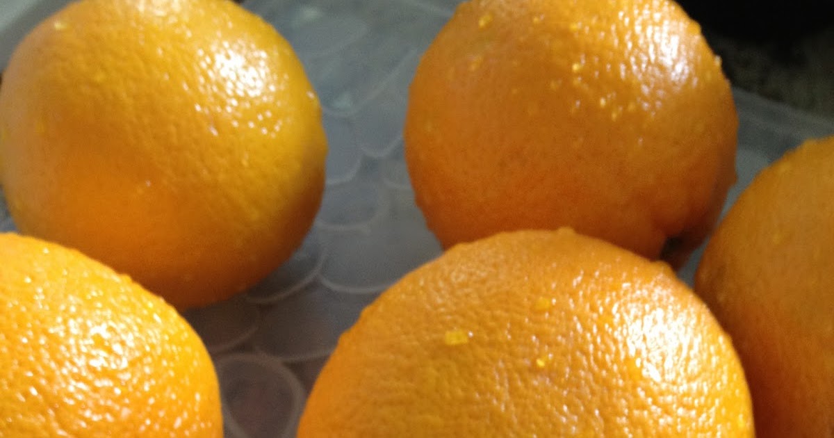 Dehydrating Oranges and Other Citrus Fruit