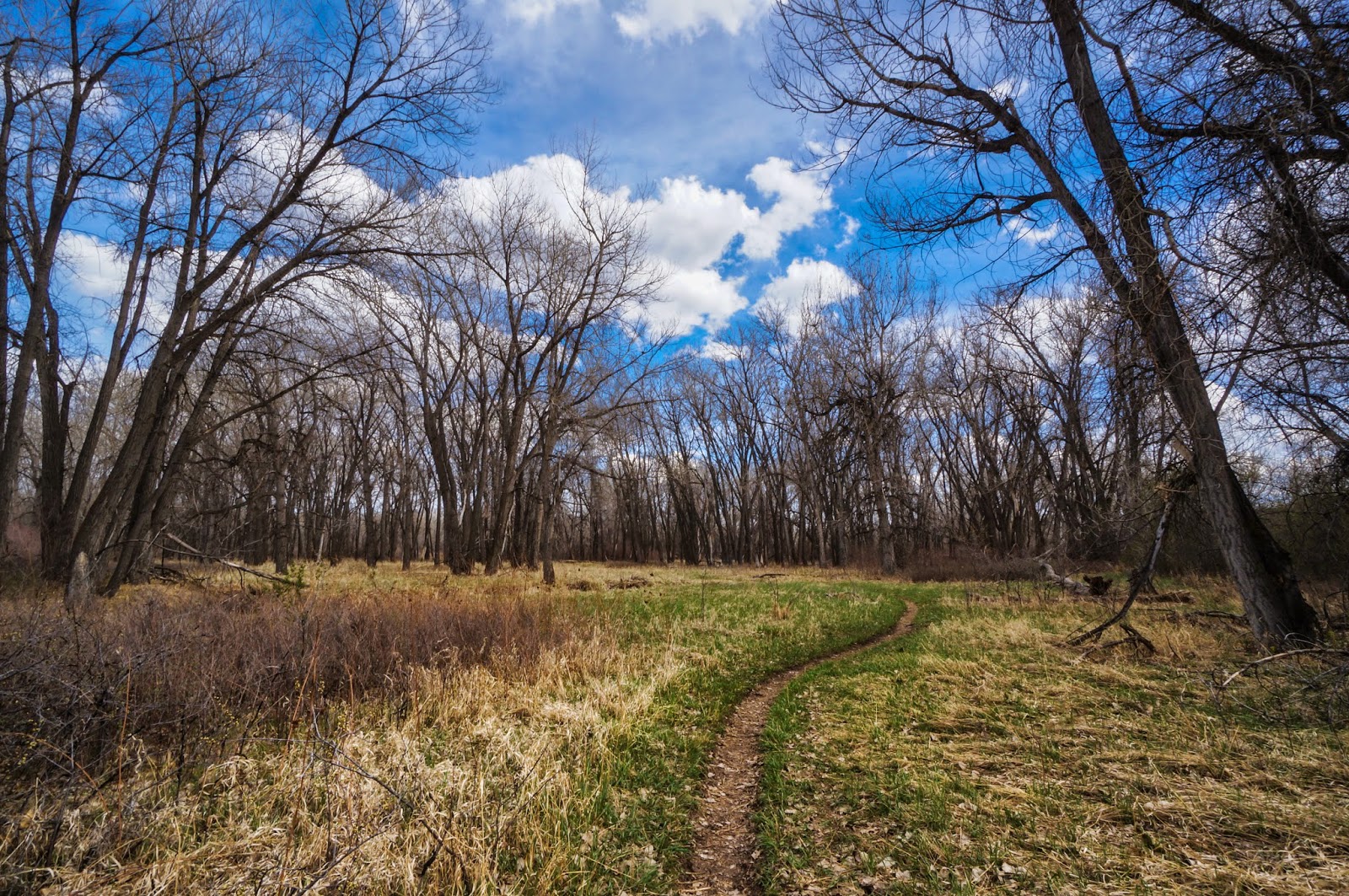 Go Hike Colorado: Chatfield State Park