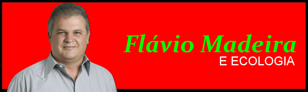 Flávio Madeira e Ecologia