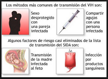 De tú adelgazaré el precio
