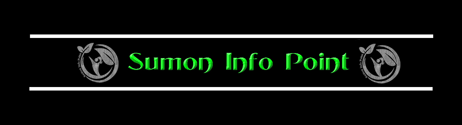 Sumon Info Point