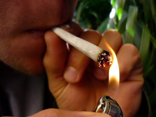 Quando se trata de maconha, tudo que a mídia e os políticos conservadores mostram são estudos científicos contrários a seu uso. Quando se trata de maconha, tudo que a mídia e os políticos conservadores mostram são estudos científicos contrários a seu uso.