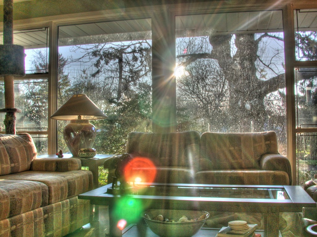 The Modern Abode by Ms. Brianna Bode Let the Sunshine In! Quick Ways