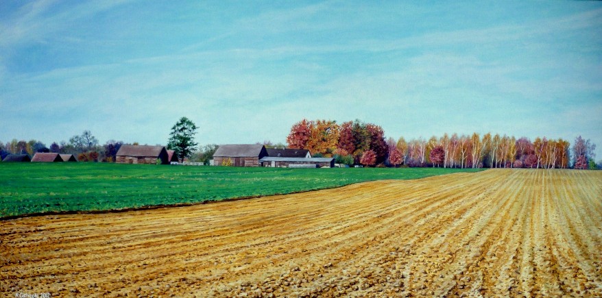 Wieś Oświno , 50 x 100 , olej