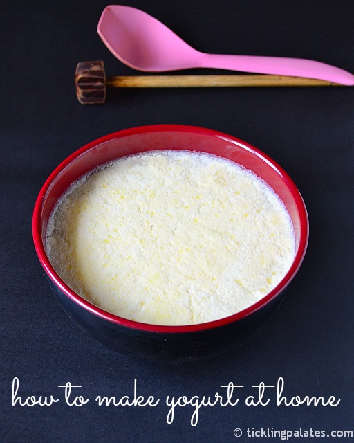 How to Make Yogurt (CurdThayirDahi) at Home How to Set Thick Curd
