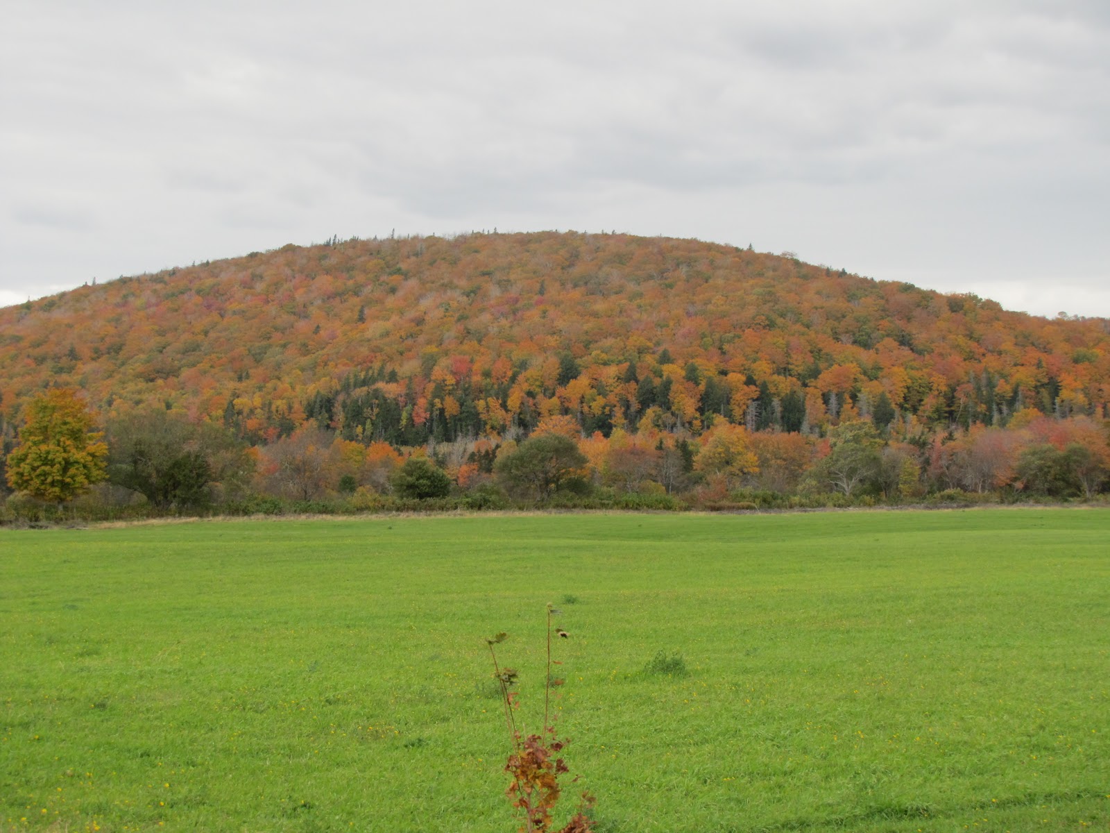 The Margaree Trail The Fall colours of the Margaree Trail