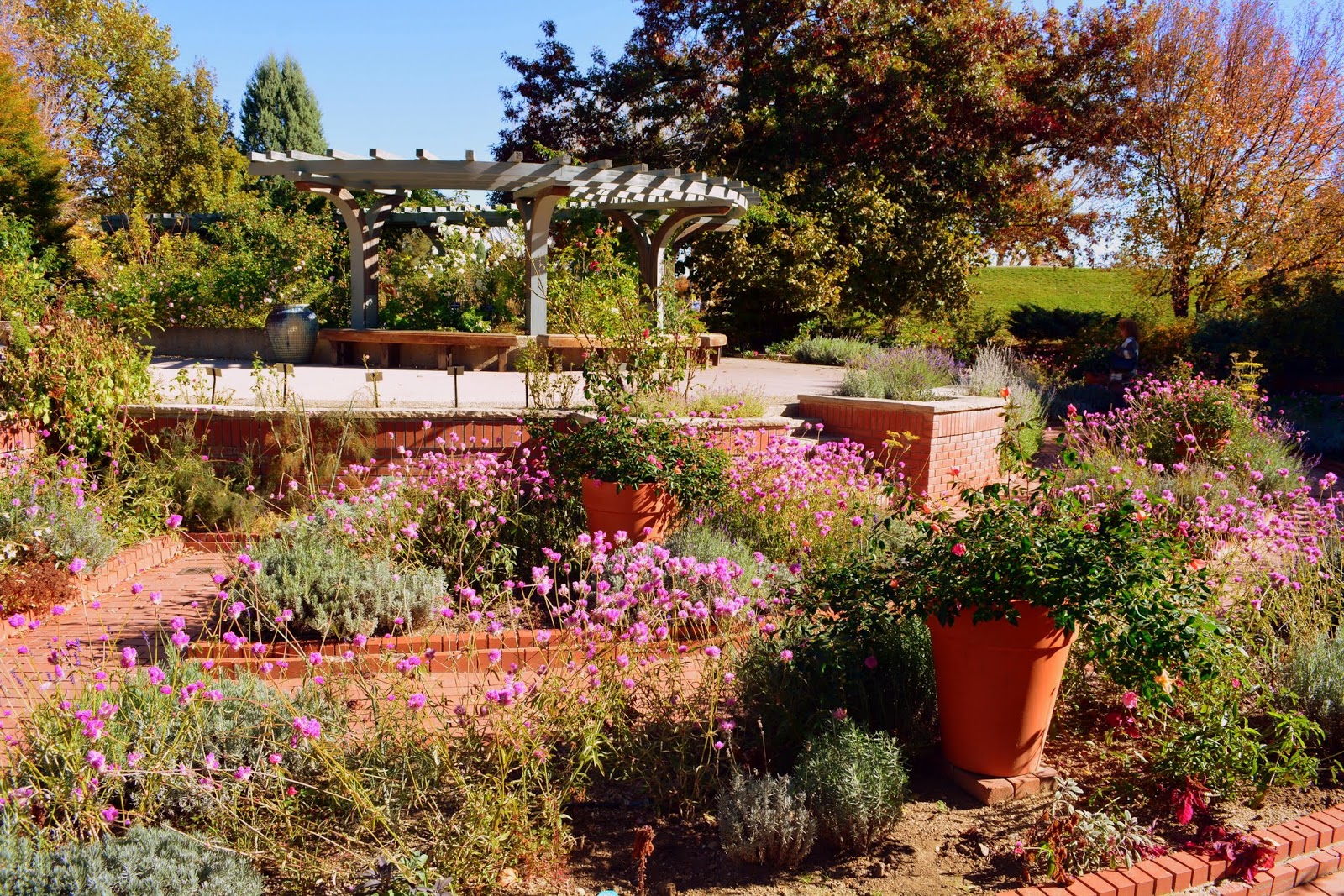 Mille Fiori Favoriti The Denver Botanic Garden in Autumn