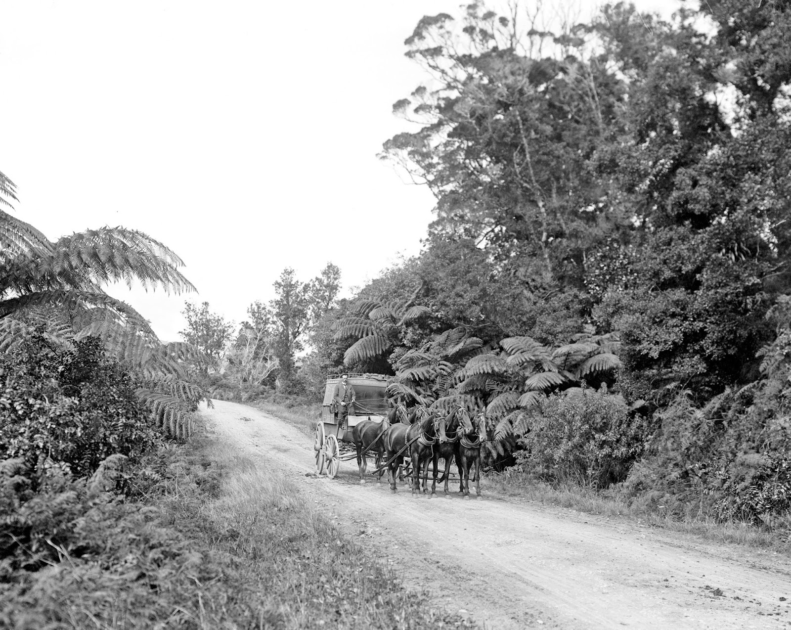 History in Photos July 2015