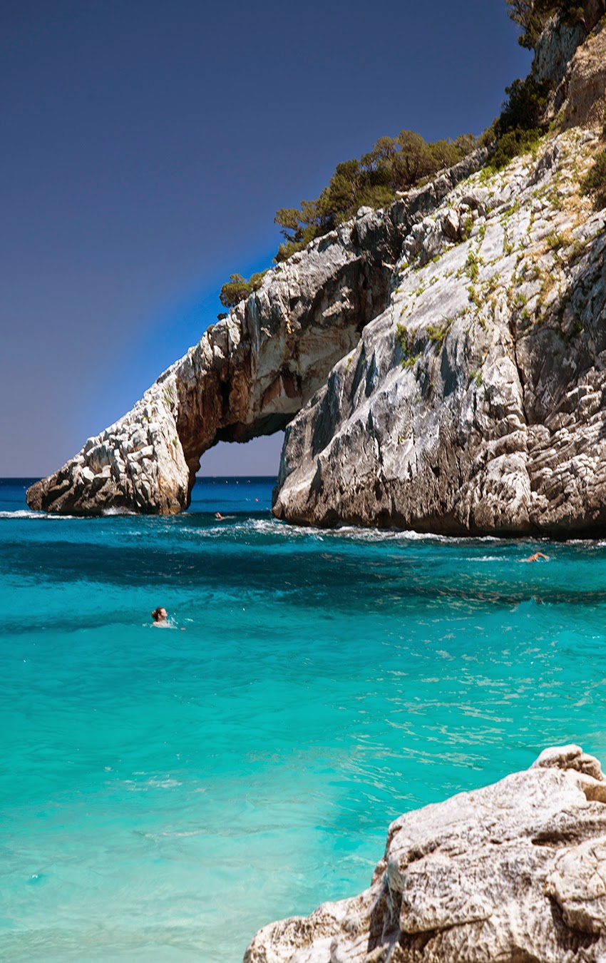 Ahh, Sardinia... WILD GREENS & SARDINES
