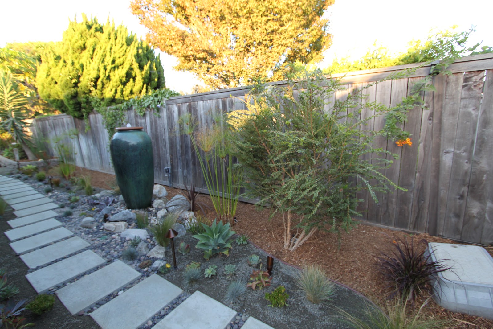 kicking off 2014 with a landscape redo and drought tolerant california