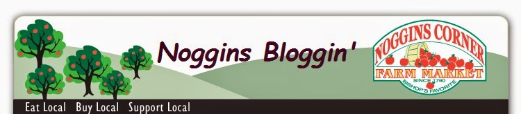 Noggins Bloggin'