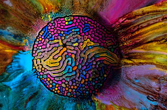 Fabian Oefner fotografia alta velocidade cores vibrantes ciência ferrofluido magnetismo