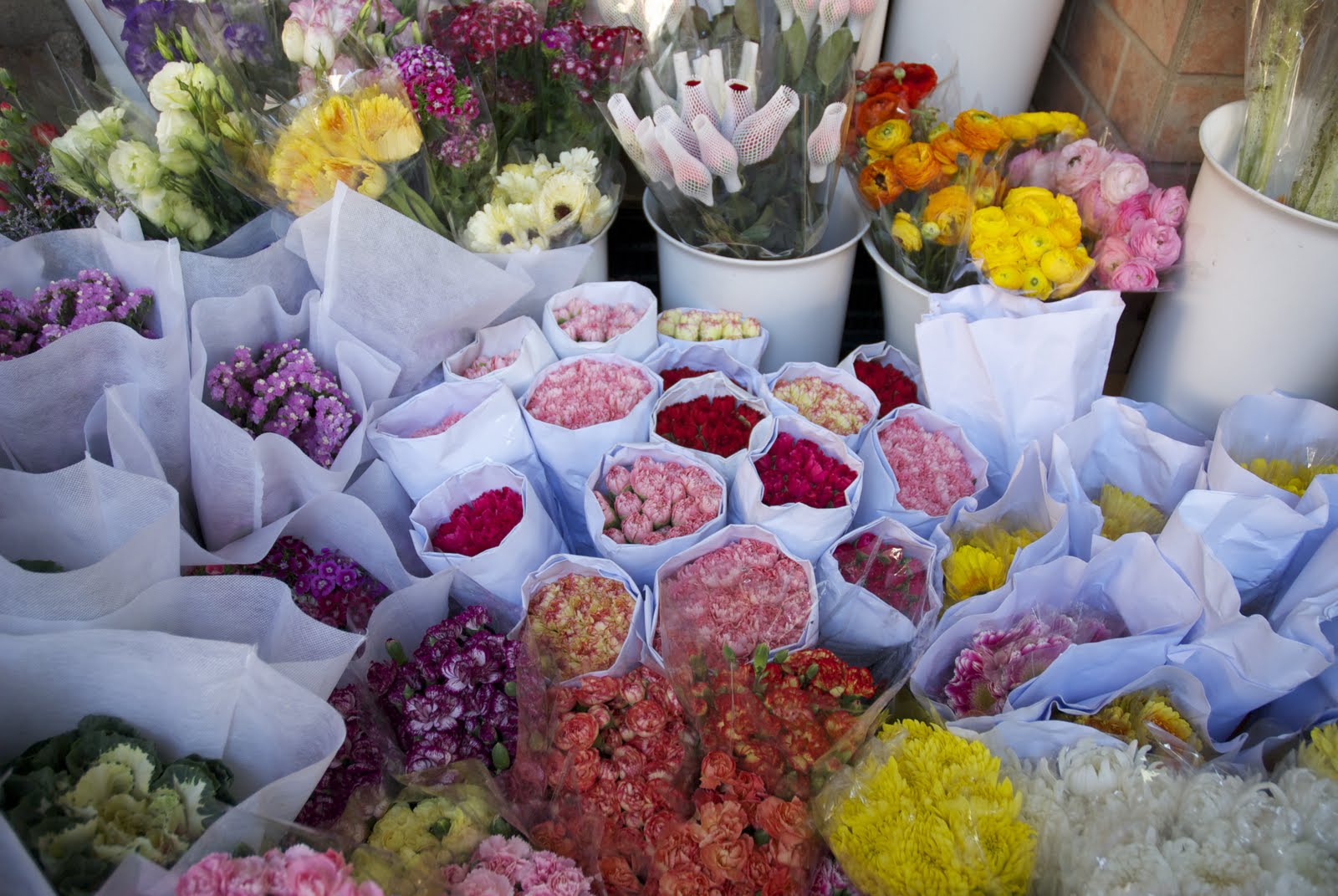 A Quick Guide to Hong Kong Flower Markets A Pair & A Spare