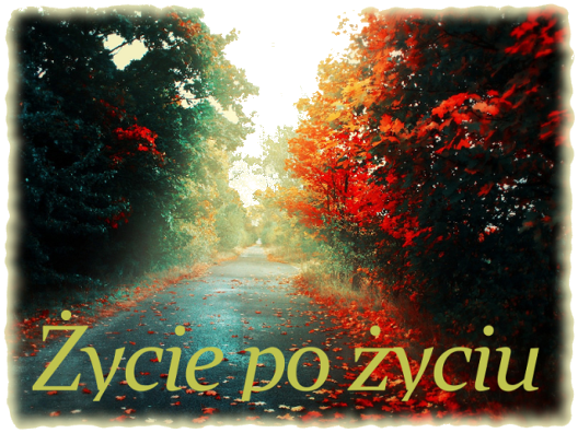 Życie po życiu