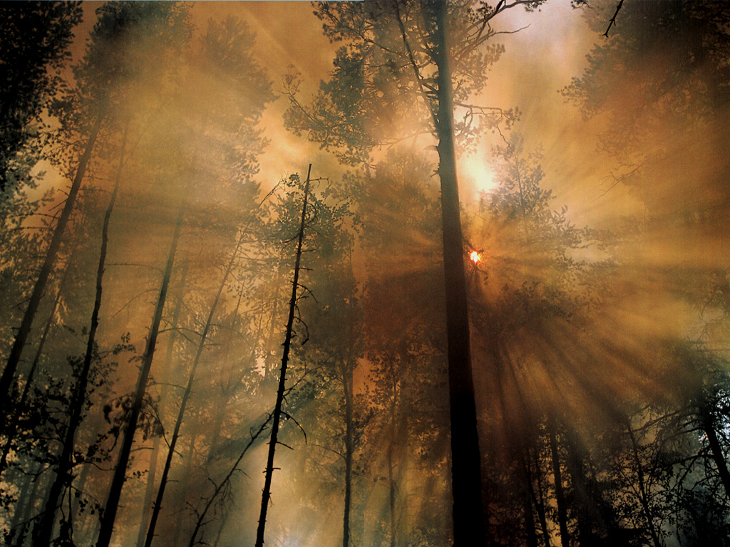 http://2.bp.blogspot.com/-mUrdBhemmS4/T0iyseStR-I/AAAAAAAAAD0/AgZkKuA2QVc/s1600/JLM-NatGeo-forest+fire_the+morning+after.jpg